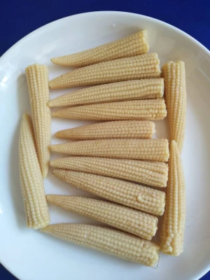 Canned  Baby Corn