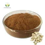 Puerariae Radix Kudzu Root Extract 30% - 90% Puerarin