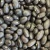 Import Kidney Beans For Sale from Cameroon