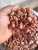 Import COCOA BEAN from Nigeria