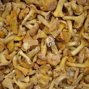 IQF Frozen Chanterelles Mushroom Cantharellus Cibarius