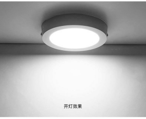ceiling light, concealed, surface