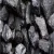 Import coal from India
