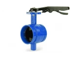 High Performance Flow Control Batterfly Valve