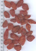 dried strawberry