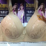 0.96usd escrow payment factory wholesale  fancy bra/underwear/latest  fancy bra, can 600pcs mixing items ( gdwx378)