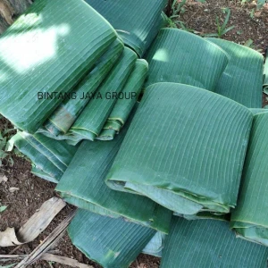 Top Quality Banana Leaf, 100% Natural in Best Price