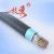 Import 10 20 30 50 100 200 500 pairs telephone communication cable from China