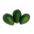 Import 100% Natural Fresh Green Avocado  in low price from Germany