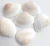 Import 1.5-3.5 cm White Natural Sea Shells Coquillage Beach Decor Craft Diy Marine Style Fish Tank Seashells Scallop Embellishment from China