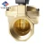 Import 15inch 50inch 1.6Mpa 9v 24v 220v 12v diesel fuel  high pressure brass water Solenoid control Valves from China