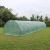 Import 15x3x2m giant greenhouse agriculture from China