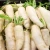 Import 200g Pickled Radish / Original fresh white radish !!! from China