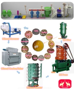 200TPD vegetable oil mill ,professional complete vegetable corn soya cotton seeds groundnut oil press equipment