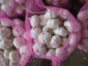 2015 chinese fresh white garlic, Danny, 0086-15863400425