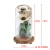 Import 2018 Factory Price Preserved Dry Flowers Decoration Natural Dried Rose Manufacture In Decoration Glass Dome from China