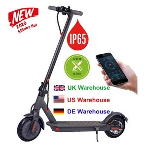 2020 iEZway China Factory New Product 2 Wheels Electric Scooter Foldable