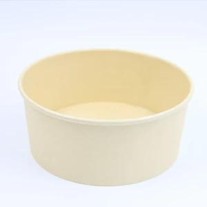 20oz Custom Printed Disposable Bamboo Pulp PLA Coated Paper Salad Bowl With PET Lid