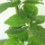 Import 5175 hot sell outdoor artificial plants from China
