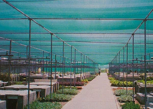 agricultural green shade net for gardens