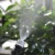Import Atomization Nozzle Water Control Sprayer DIY Micro Drip Irrigation Plant Self Garden Mist Sprinkler with Hose Connector from China