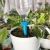 Automatic Vacation Plant Self Watering Spikes Automatic Plant Watering System