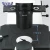 Import BDS400 digital inverted biological microscope from China