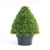 Import Beautify Environment Indoor Decoration Simulated Plant from China