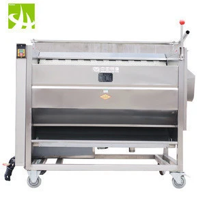 Best quality Holtec  CX100I Vegetable Fruits Washing and peeling machine,Vegetable Washer