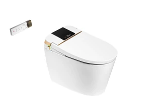 Best Selling Ceramic Floor Mounted Siphonic LED Nightlight Smart Soft Close Lid Toilet Intelligent smart toilet