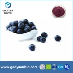 Billberry extract 25% anthocyanin for Whitening & Antioxidan