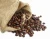 Import Bulk Arabica Good Cup Roasted Coffee 15/16 Beans from Brazil
