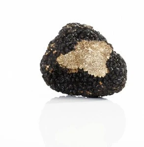 Bulk supply new perigord black truffle price online for sale