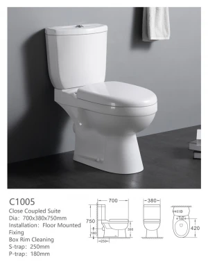 C1005 Cheap price China manufacturer modern style water closet  two piece porcelain toilet