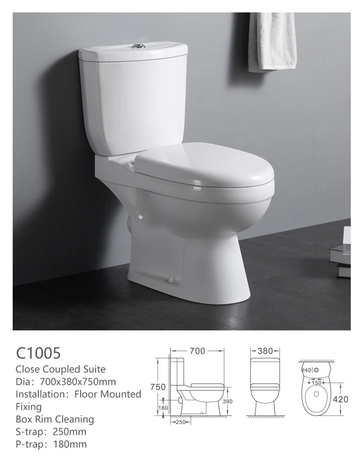 C1005 Cheap price China manufacturer modern style water closet  two piece porcelain toilet