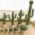 Import CAB0068 Factory Direct Bonsai Artificial Cactus Plants from China
