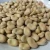 Import Cheap Price Top Sale Fava Beans/Broad Beans from South Africa