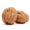 Cheap Price Walnuts in Shell/Walnuts Kernels for Sale