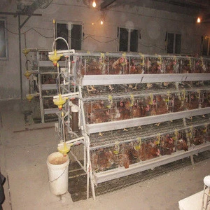 Chicken cage systems and other equipment for poultry farm of all sizes