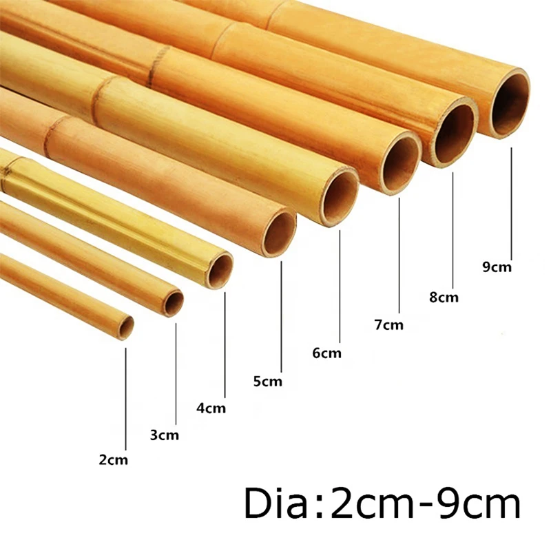 China bamboo town solid dried bamboo poles for gardening and construction nature bamboo pole