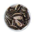 China market per ton price snack raw 363 big size sunflower seed kernel for importers
