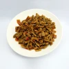 China Top 10 Food Companies Supply High Quality Low Fat Sour String Beans Snacks