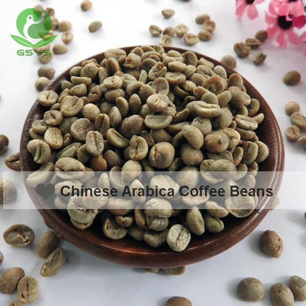 Chinese Arabica coffee beans Yunnan origin coffee beans