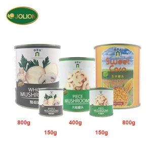 Chinese Factory Fast Food 800g Canned White Mushroom Slice