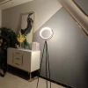 CHUSE Manufacturer dropshipping products Energy saving 10W decorative led RGB stand floor lamp living room tripod standing light