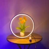 Chuse Modern Led RGB Colorful USB Plug Table Lamps Low Price Bedroom home Decor Circle Light Smart Lamp Among Us Lamp