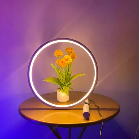 Chuse Modern Led RGB Colorful USB Plug Table Lamps Low Price Bedroom home Decor Circle Light Smart Lamp Among Us Lamp
