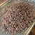 Import Cocoa Beans Cacao Beans from South Africa