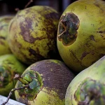 Coconut Nam Hom Young Green Coconut Fresh