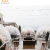 Import Colorful Coffee Igloo Glass Dome Tent Clear 6m PVC Glamping Hotel Dome House Tent from China